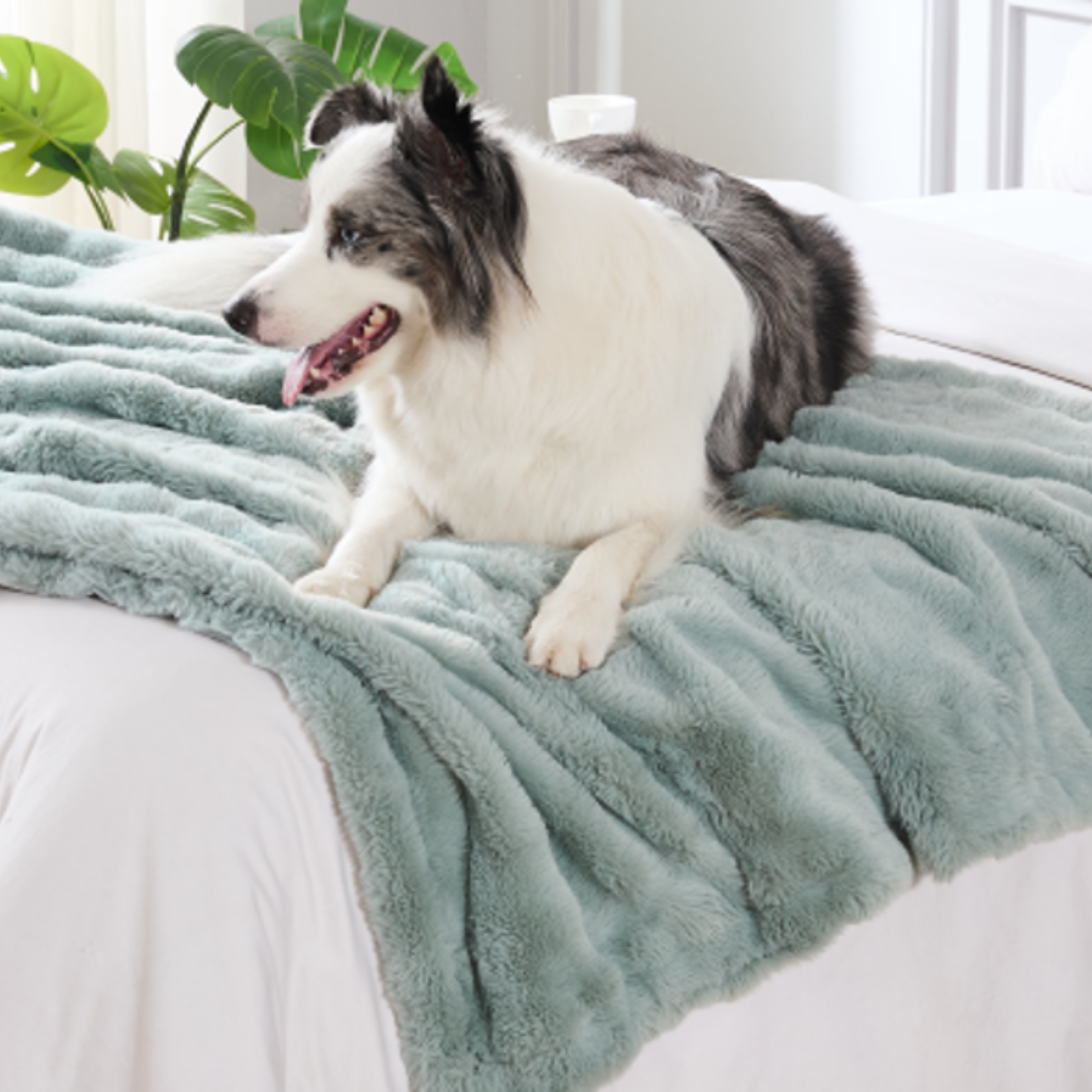 Printed Popcorn Rabbit Fur